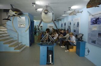 Морской Образовательный центр острова Лошинь